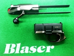 Blaser R8 - RUTHENIUM, Kompletierung professional Success 