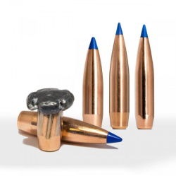 Kulový náboj NORMA ,30-06 Springfield - Bondstrike Extreme 11,7 g / 180 gr