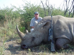 Obrovský nosorožec ulovený Blaserem. kal.375 H&H Magnum.