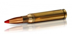 GECO    243 Winchester  Express