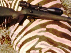 Blaser R 8 Professional + Swarovski Z6i